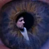 The Veils