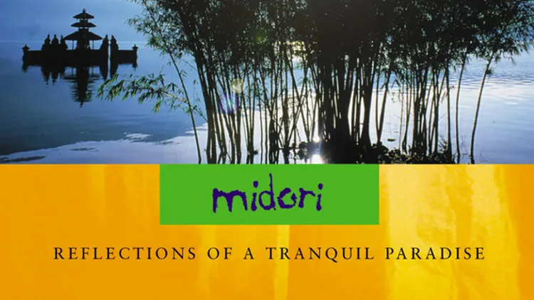 Midori + kodäma avec orchestre orage