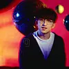 The Lightning Seeds