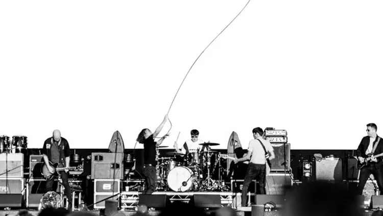 The Pigeon Detectives