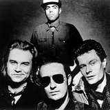 The Barracudas