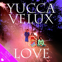 concert Yucca Velux