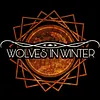 Wolves in Winter