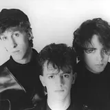 The Icicle Works