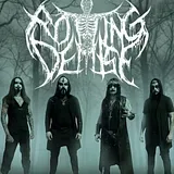 Rotting Demise