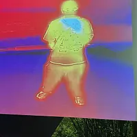 False Persona