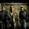 The Stooges