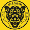 Ácido Pantera
