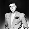 David Essex