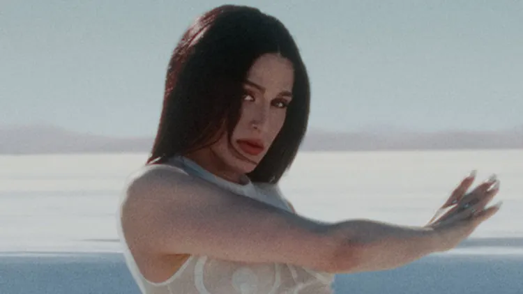 Arca, Sega Bodega, BOBBY BEETHOVEN, PETIT