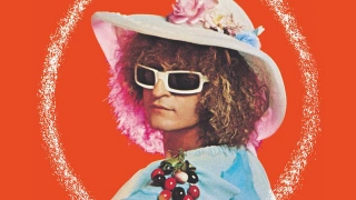 Michel Polnareff - Tournée