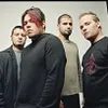 Spineshank