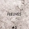 Fleuves