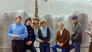 THE BEACH BOYS