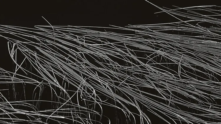 XTRUDE x Dissident w/ DJ Stingray, Cleric, Nastya Vogan, Elli Acula, Sybil