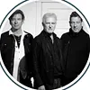 Glass Tiger