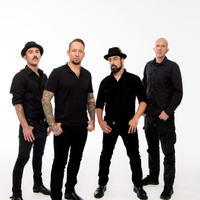 concert Volbeat