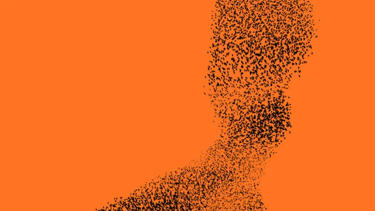 tribalism - Andy Pi, Philippa Pacho, Sandrien