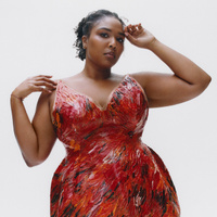 concert Lizzo