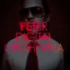 Peter Digital Orchestra