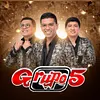 Grupo 5