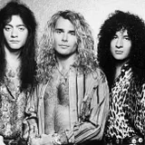 White Lion