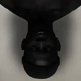 Wayne Snow
