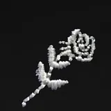 Shlohmo