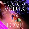 Yucca Velux