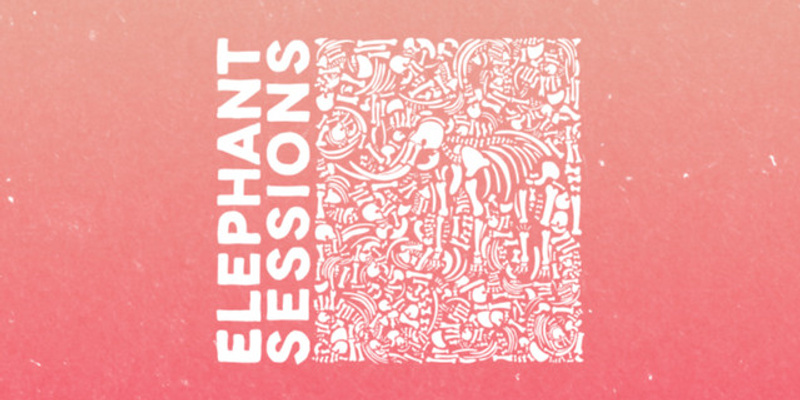 The Elephant Sessions