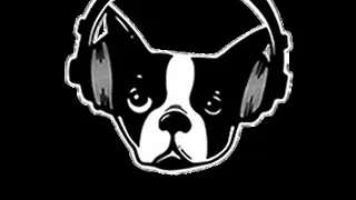SNARKY PUPPY