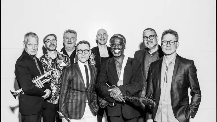 New Cool Collective Big Band