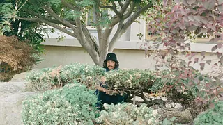 Drugdealer
