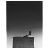 Ø