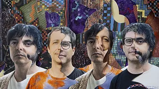 ANIMAL COLLECTIVE