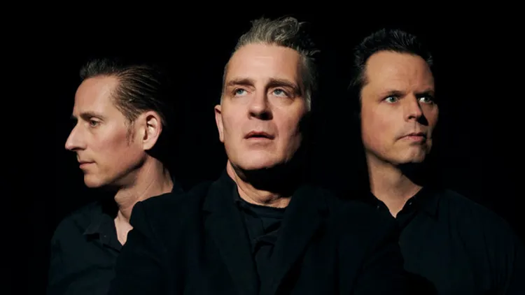 THE PEACOCKS