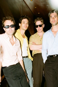 THE VACCINES