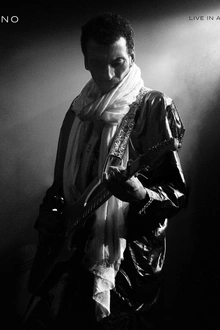 Bombino