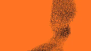 tribalism - Andy Pi, Philippa Pacho, Sandrien