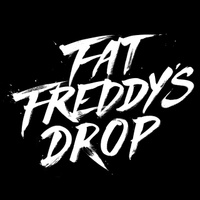 concert Fat Freddy's Drop