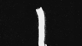 infinite bisous