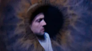The Veils