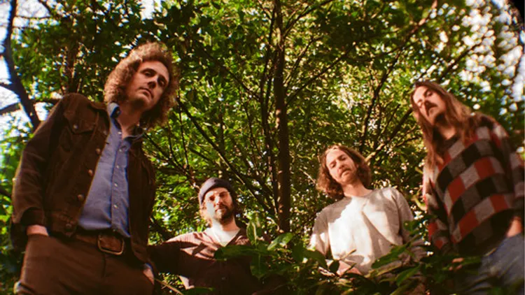 Triptides