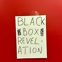 The Black Box Revelation