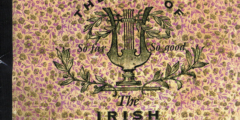 The Irish Descendants