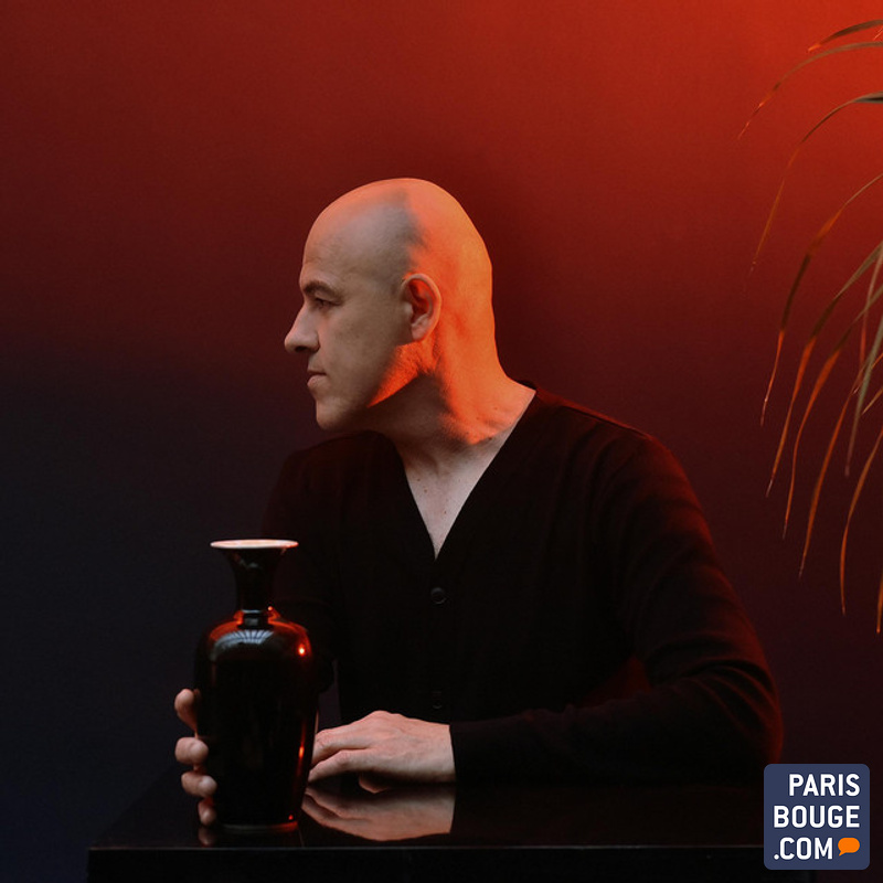 Benjamin Biolay Symphonique Philharmonie De Paris 1 Avril Dominique A - La Philharmonie de Paris - 14 avril 2018