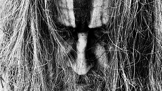 ROB ZOMBIE