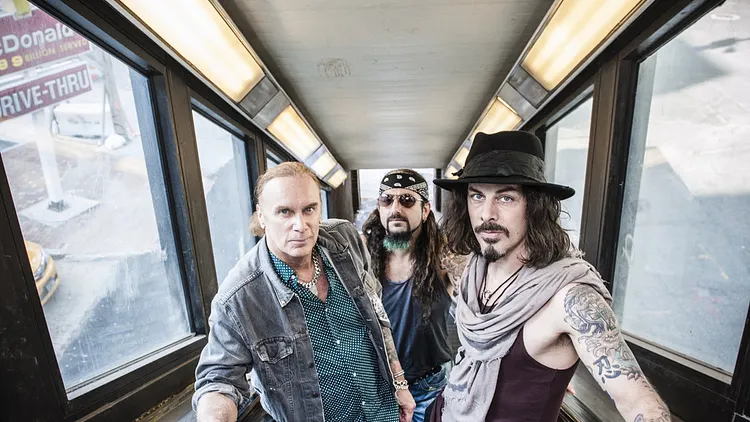 THE WINERY DOGS