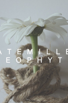 DREAMACHINE with Willis Anne + Kate Miller + FRONT DE CRYPTE