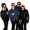 The Radiators
